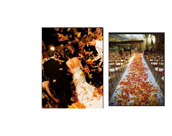 Decorative Craft 120 Assorted Rich Fall Colored Autumn Leaves For Fall Weddings, Events Decorating Or Crafting, Fall Color Artificial Leaves