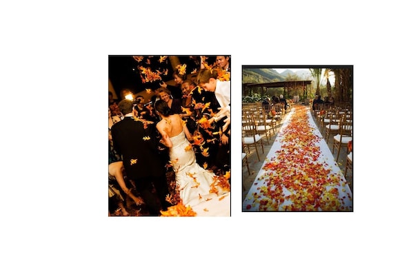 Decorative Craft 120 Assorted Rich Fall Colored Autumn Leaves For Fall Weddings, Events Decorating Or Crafting, Fall Color Artificial Leaves