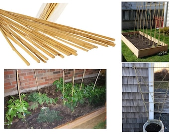 3 Feet Natural Bamboo Stake 25 Tellen voor het creëren van eigen partij Trellis, Bamboe Stakes voor tuinieren of algemene home improvement, Bamboe Hekwerk