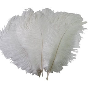 White Ostrich Feathers 50 Count of 15-20 cm Decorate Feathers for Elegant Weddings, White Feathers For Craft, Vase Decoration Or Theme Party