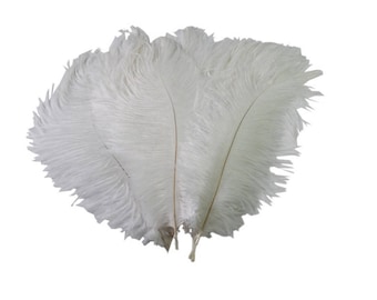 Plumes d’autruche blanches 50 Compte de 15-20 cm Plumes décoratives pour mariages élégants, Plumes blanches pour l’artisanat, Décoration de vase ou Fête à thème