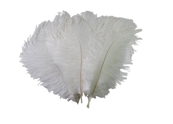 50pcs 10-15cm Natural Home Decor Ostrich Feathers for Home Wedding Xmas Party de