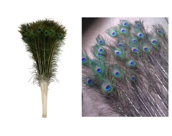 Natural Peacock Feathers 30-35 inches Long, 20 Count Pieces For Wedding Or Creating Home Decoration, Peacock Feathers For Costume Or Craft