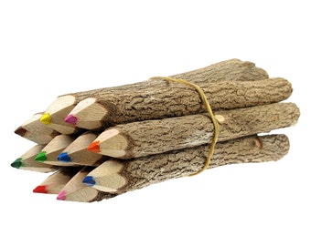 Branch And Twig Assorted Color Pencils 10 Count Approximately 5 Inches Long, Great Wood Pencils For Fun Kids Drawing Or Wedding Guest Favors