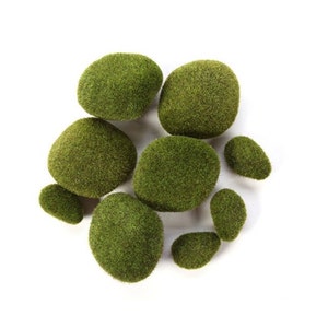 May include: A collection of eight green moss covered stones, arranged in a circle on a white background.