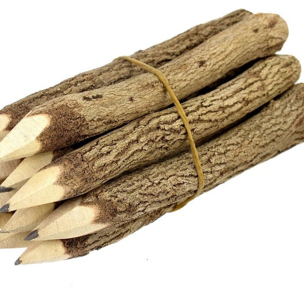 Branch And Twig Graphite Pencils 12 Count Approximately 5 Inches Long, Great Wood Pencils For Fun Drawing Or For Brides As Wedding Favors