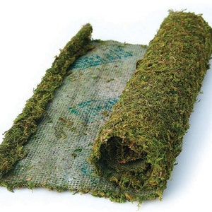 May include: A roll of preserved green moss attached to a burlap backing. The moss is rolled up and the burlap is visible on the outside of the roll.