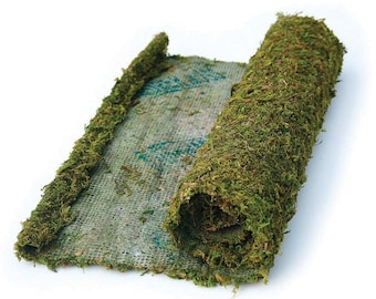 Green Moss Mat Fresh Green 18 Inch By 48 Inch, DIY Long Lasting Preserved Moss For All Purpose Cover, Moss Mat Cover For Craft Or Decorating