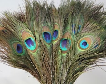 Natural Peacock Feathers 10-12 inches Long, 30 Count Pieces For Wedding Or Creating Home Decoration, Peacock Feathers With Eye Pattern