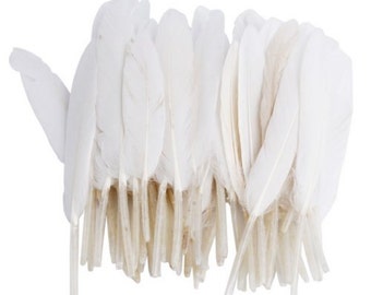 Blanco Ganso Decorar plumas para bodas elegantes, 100 piezas de plumas blancas para artesanías, decoraciones de jarrón de boda o fiestas temáticas blancas