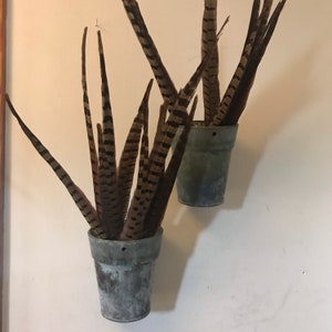 May include: Two metal pots with brown and black pheasant feathers sticking out of them. The pots are hanging on a white wall.