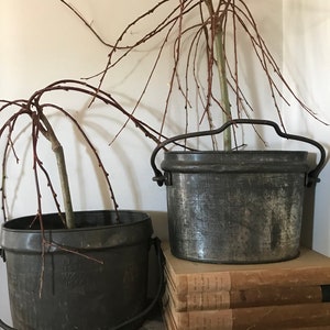 May include: Two bare-branched trees in black metal pots. The pots have a rustic, aged look. The tree on the right is on top of a stack of old books.