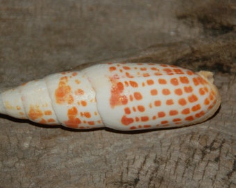 Etsy :: Your place to buy and sell all things handmade