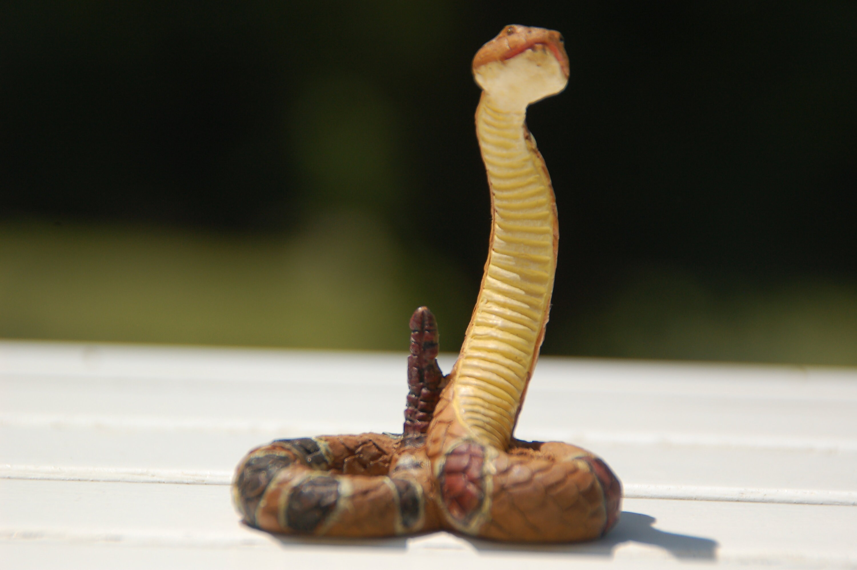 Vintage Resin Snake Figurine Home Decor Collectible Etsy