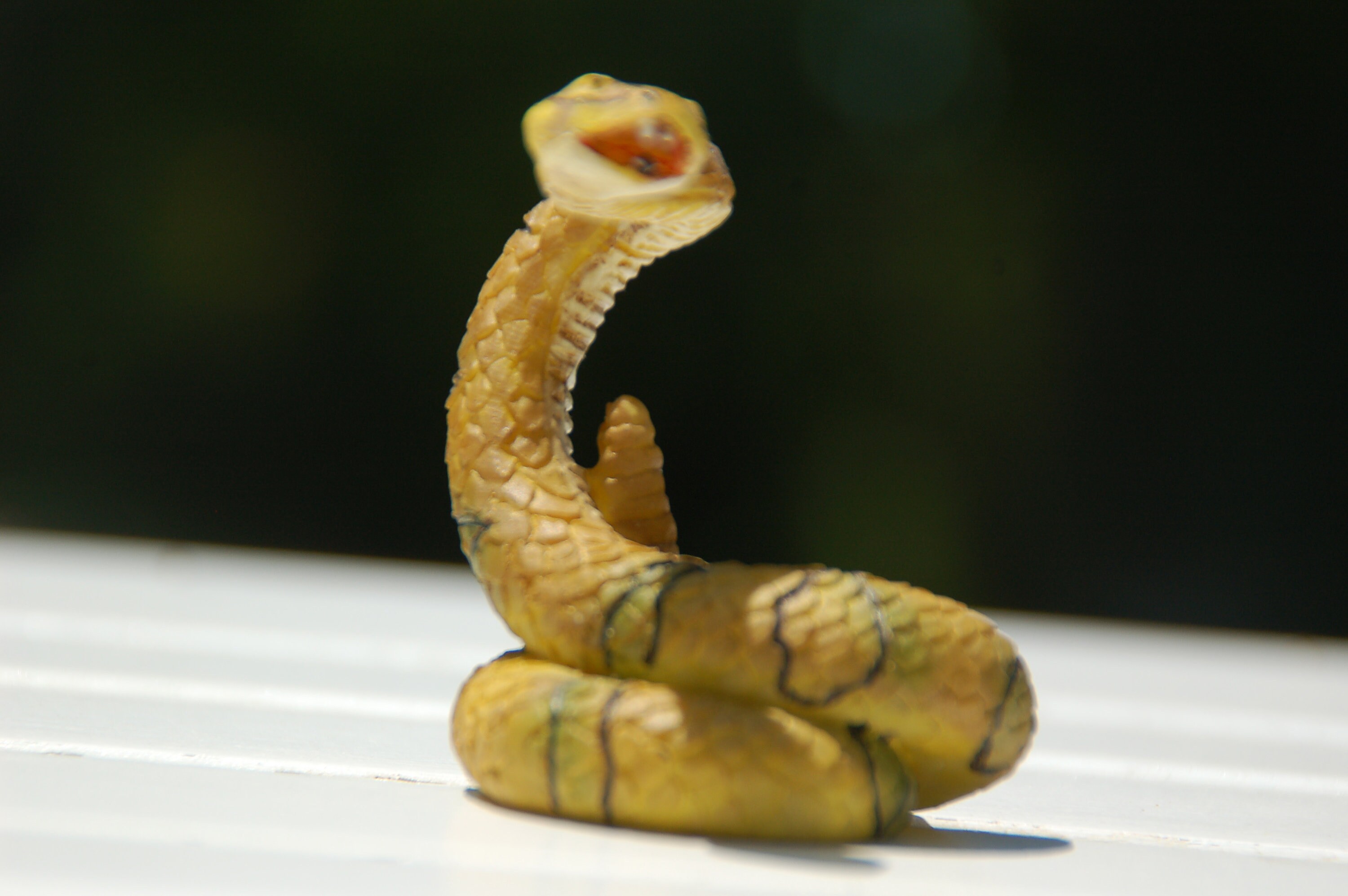 Vintage Resin Snake Figurine Home Decor Collectible Etsy