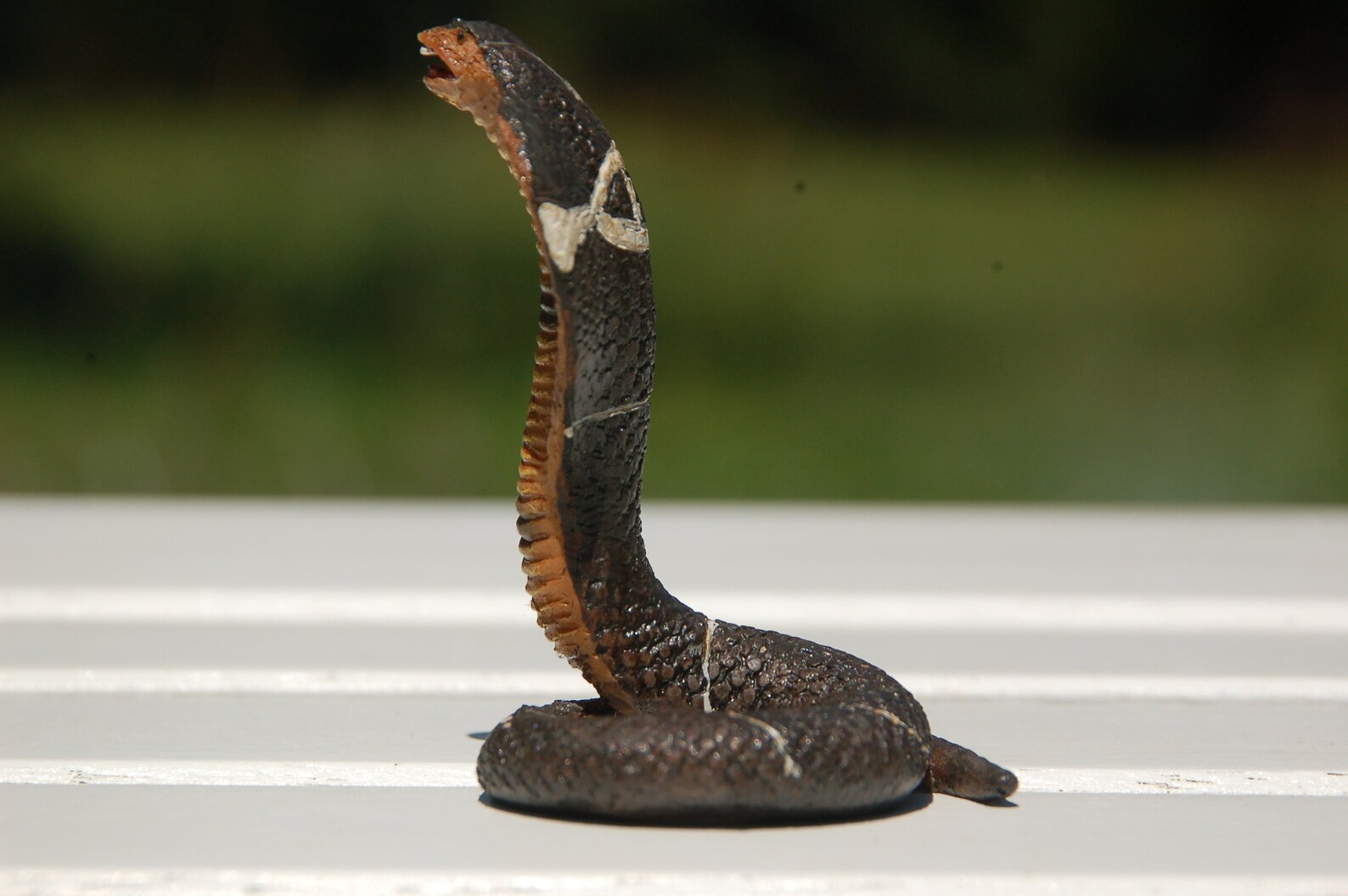 Vintage Resin Snake Figurine Home Decor Collectible Etsy