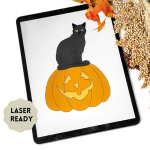 May include: A black cat sits on top of an orange jack-o'-lantern with a carved face. The jack-o'-lantern is on a white background.