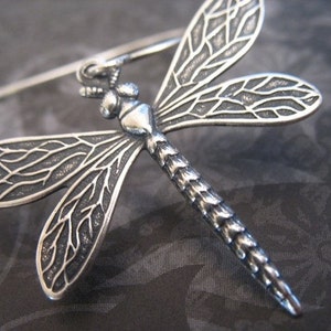 May include: Silver dragonfly earrings with detailed wings and a textured body. The earrings are dangle style with a simple hook closure.