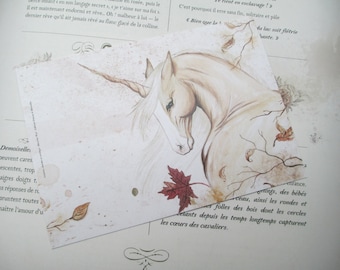 Map postcard of the wood palomino Unicorn horse