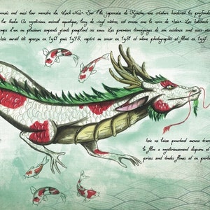 fantasy book the grimoire of dragons, journey to Asia image 3