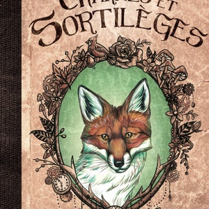 Foxes, charms and spells - illustrated book