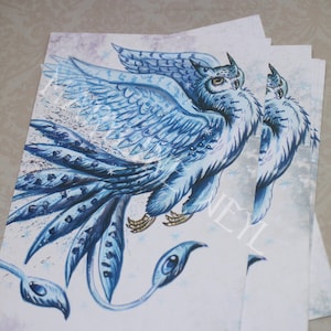 carte postale "le grimoire des étranges créatures"- phénix des glaces*