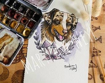 Australian Shepherd dog portrait