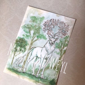 Carte postale "Cerf blanc"