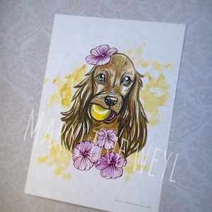 Carte postale chien - Cocker