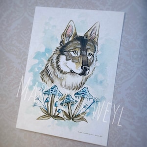 Carte postale loup chien loup