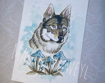 Postcard wolf wolf wolf dog