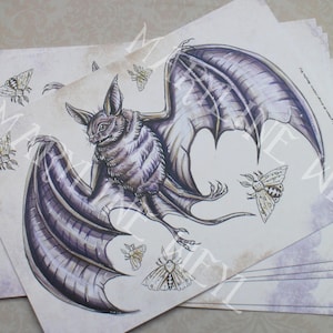 postcard &quot;the book of strange creatures&quot; - bat