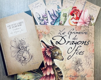 Lot le grimoire des dragons fées