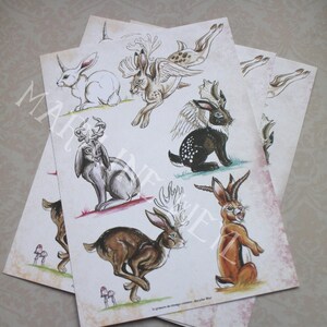 carte postale Jackalope - lièvre cornu - lapin à corne