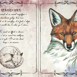 Foxes Charms and Spells Illustrated Book - Etsy