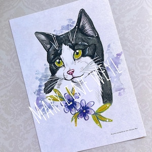 Carte postale chat noir et blanc