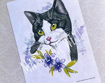 Black and white cat postcard