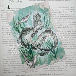 Carte postale sirène phoque Selkie
