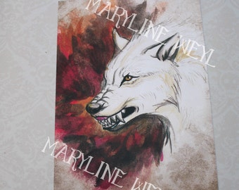 carte postale loup blanc