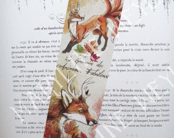 brand Red Fox page and autumn leaves