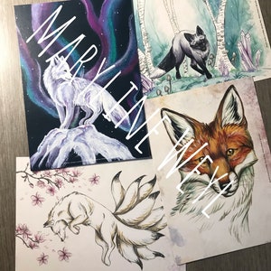 Lot de 4 cartes postales "renards"