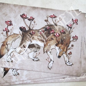 x 1 carta postale lupo mannaro lupo di funghi