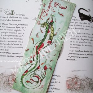 Bookmark dragon Chinese green red fish