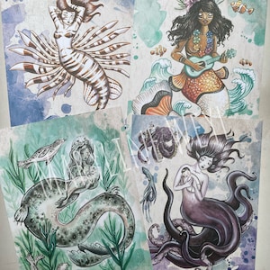 Lot de 4 cartes postales sirènes