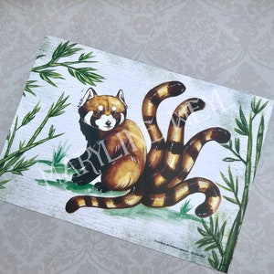 Carte postale panda roux