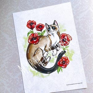 Cartolina del gatto siamese
