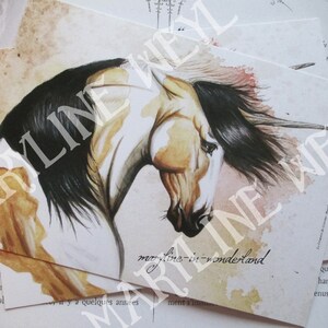postcard unicorn of the sands
