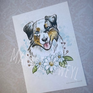 Postcard dog - Australian Shepherd