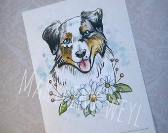 Postcard dog - Australian Shepherd