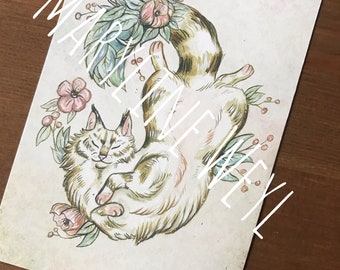 Cat and flowers postcard